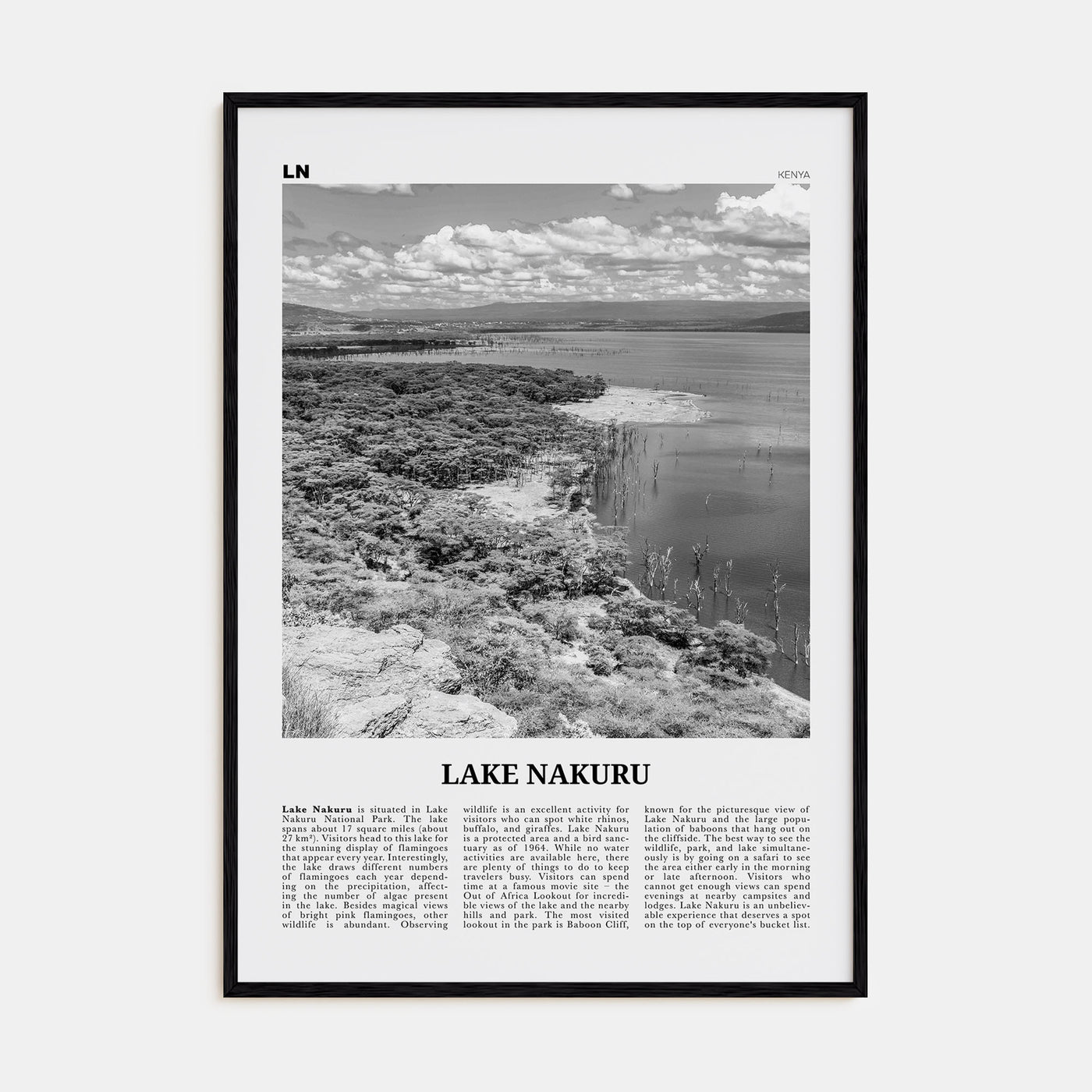 Lake Nakuru Travel B&W Poster