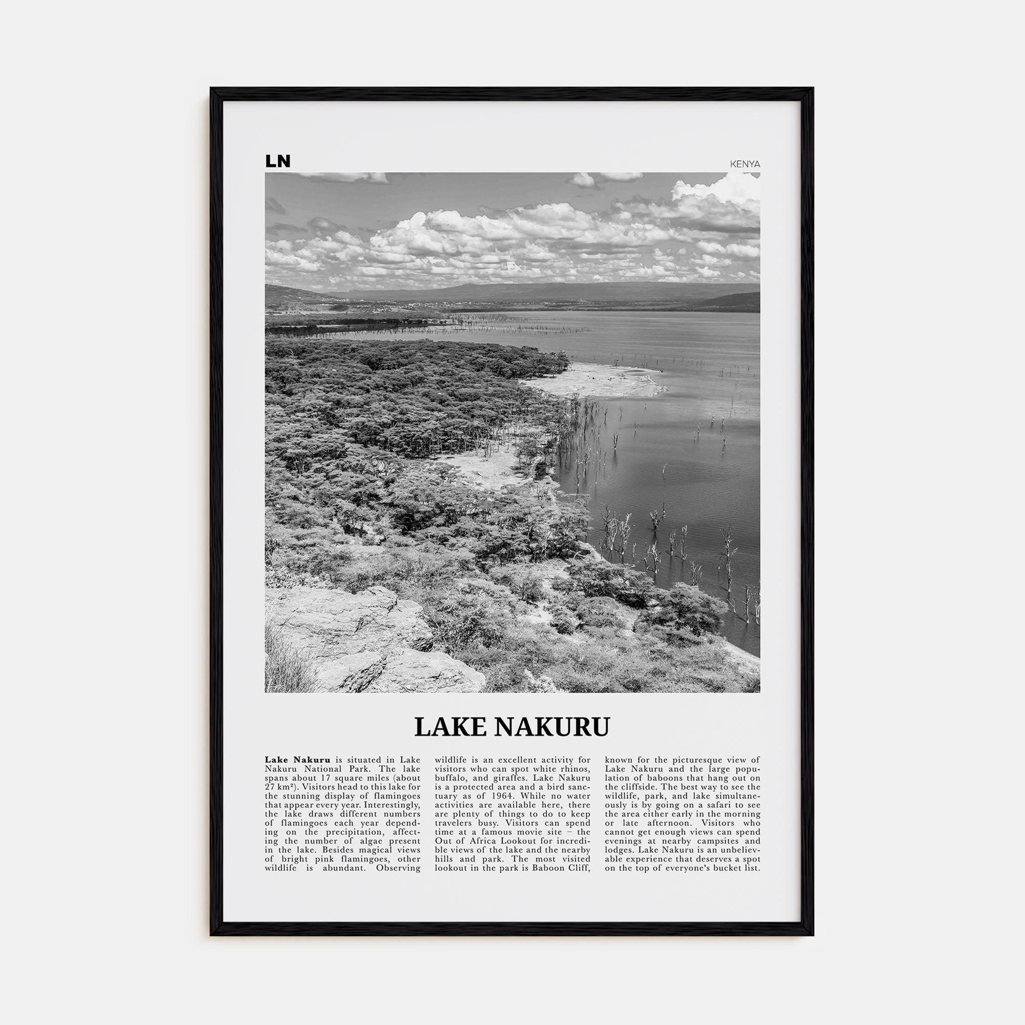Lake Nakuru Travel B&W Poster