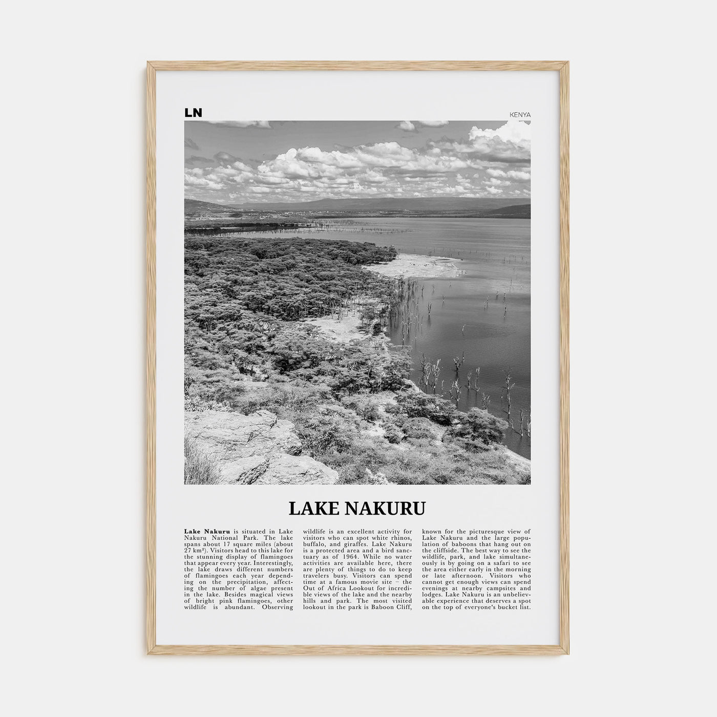 Lake Nakuru Travel B&W Poster