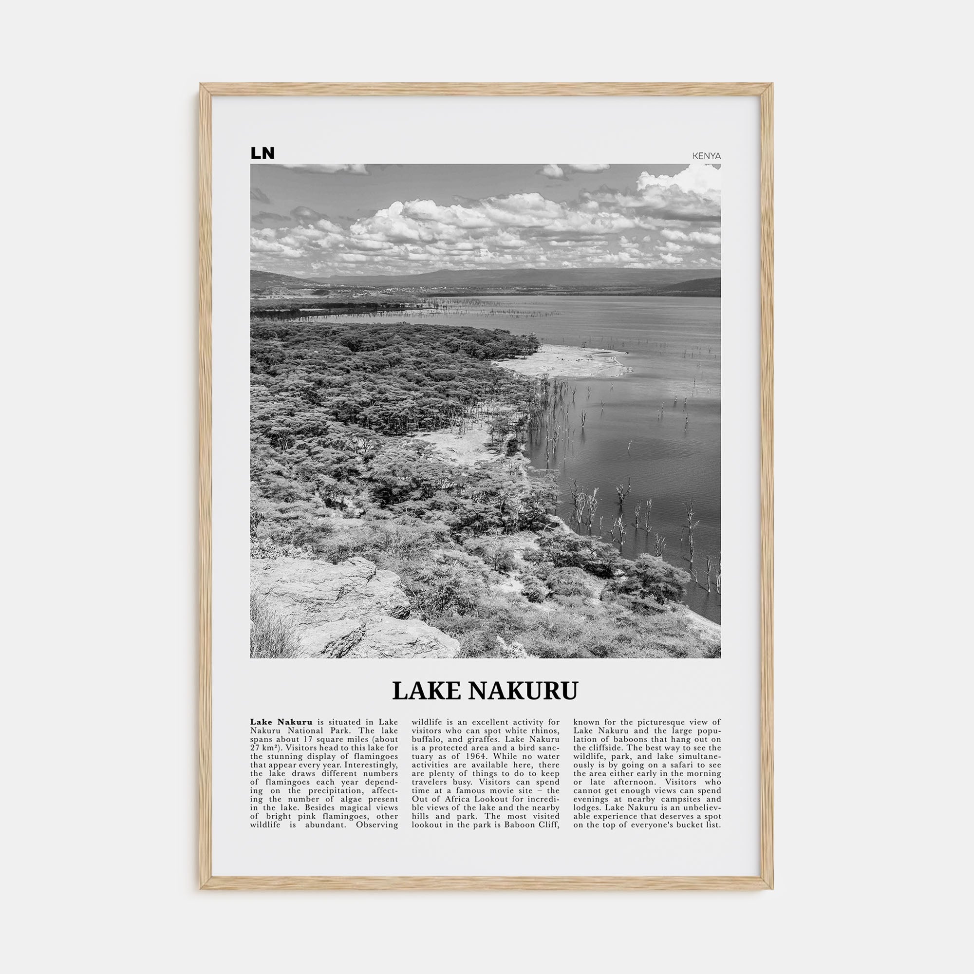 Lake Nakuru Travel B&W Poster