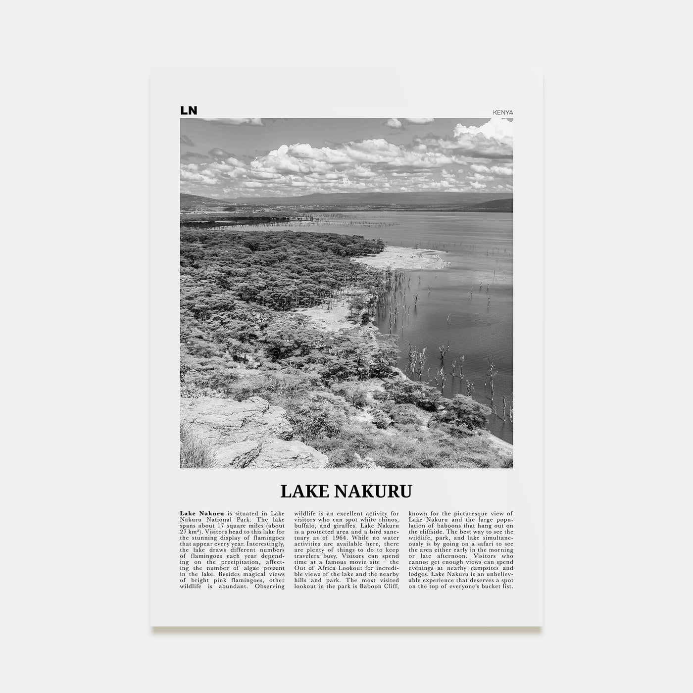 Lake Nakuru Travel B&W Poster