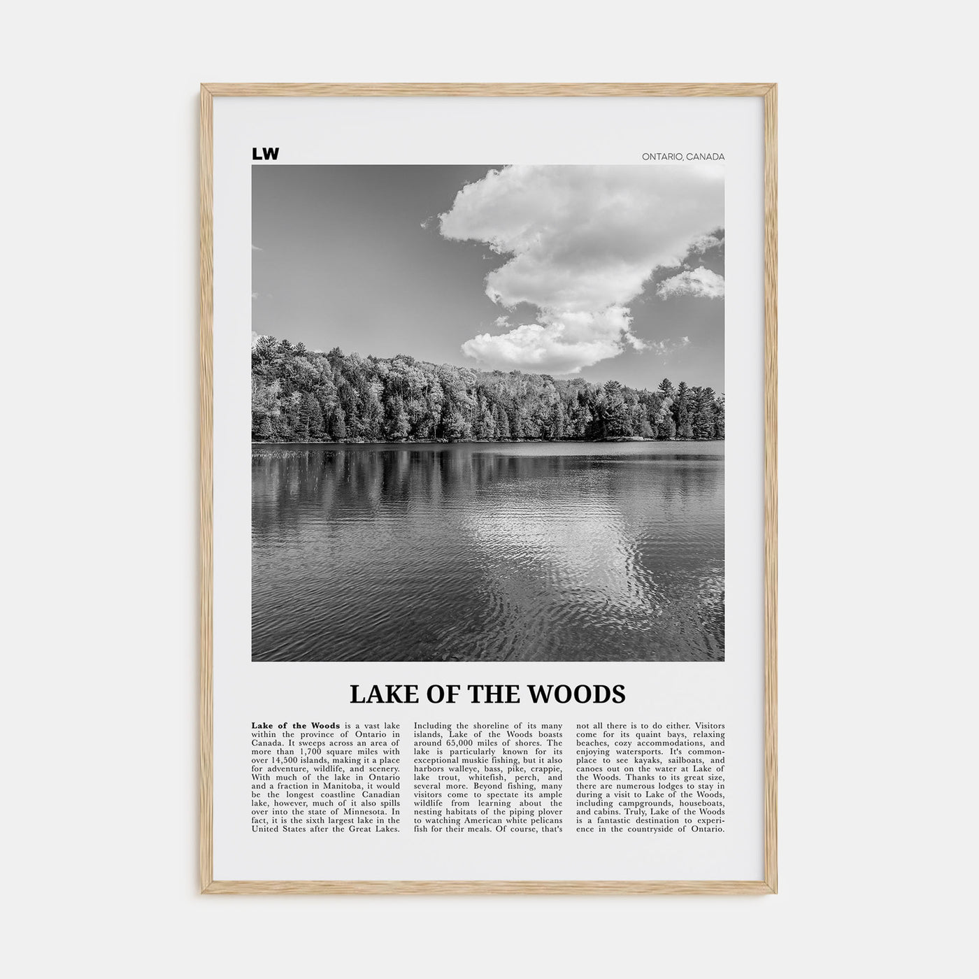 Lake of the Woods Travel B&W Poster
