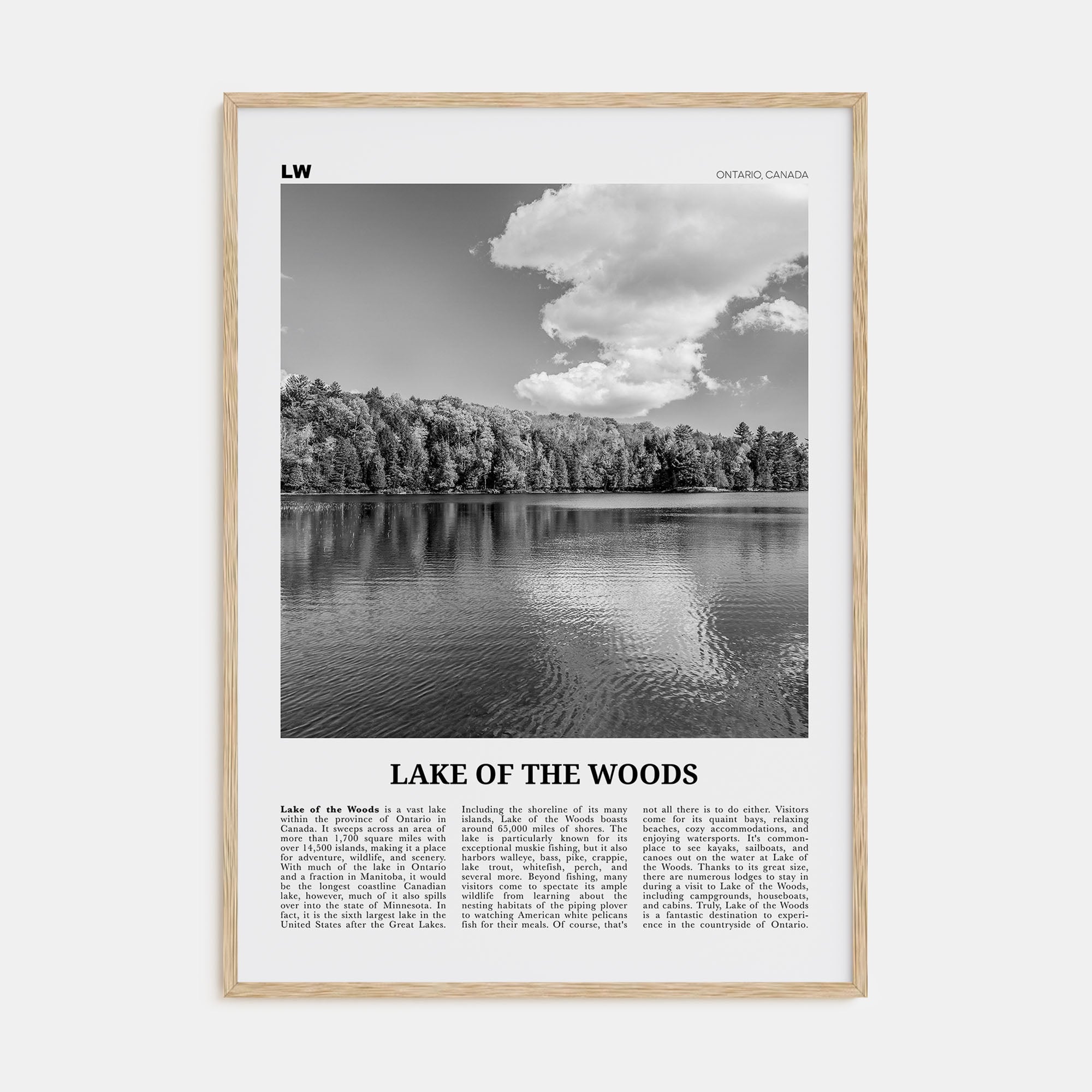 Lake of the Woods Travel B&W Poster