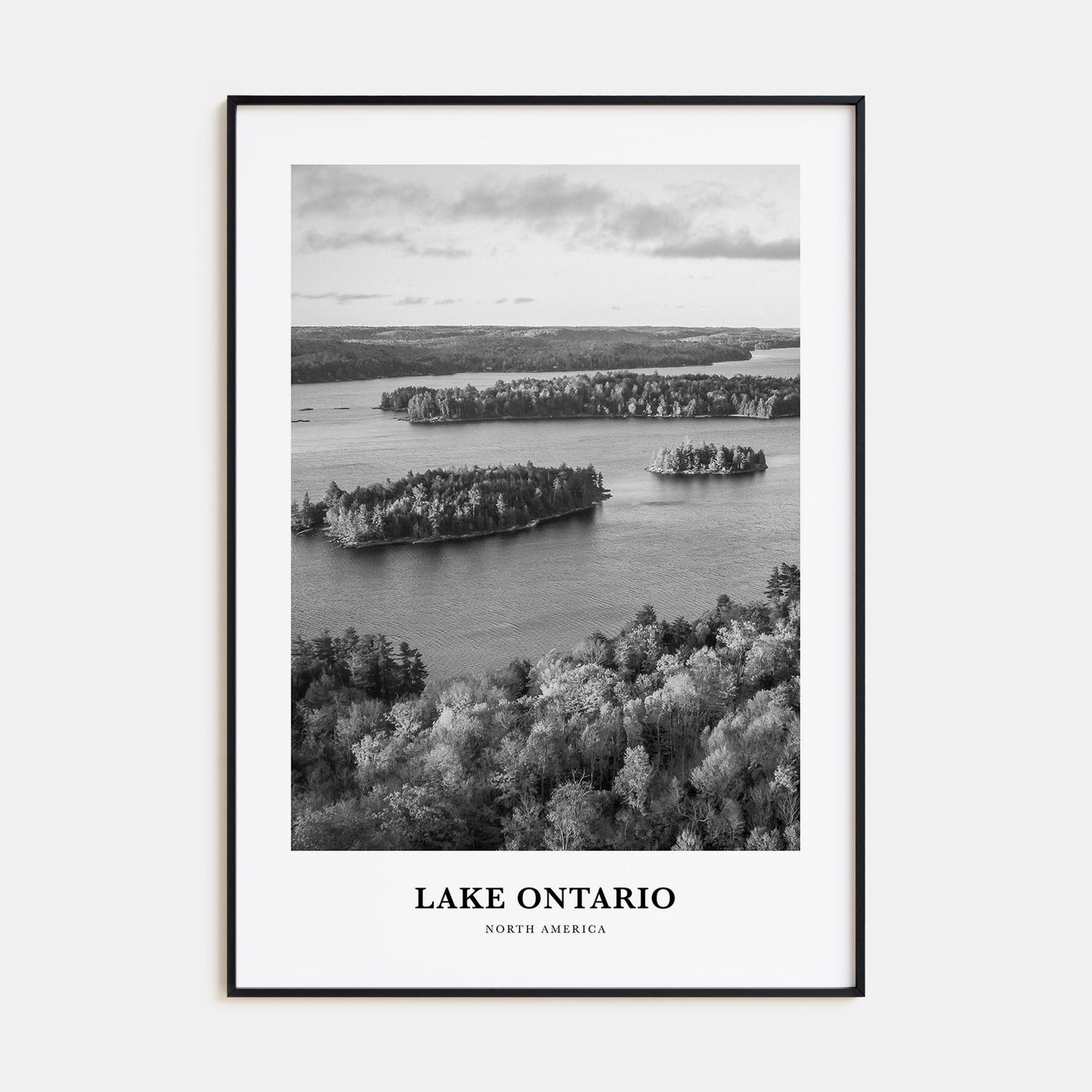 Lake Ontario Portrait B&W Poster