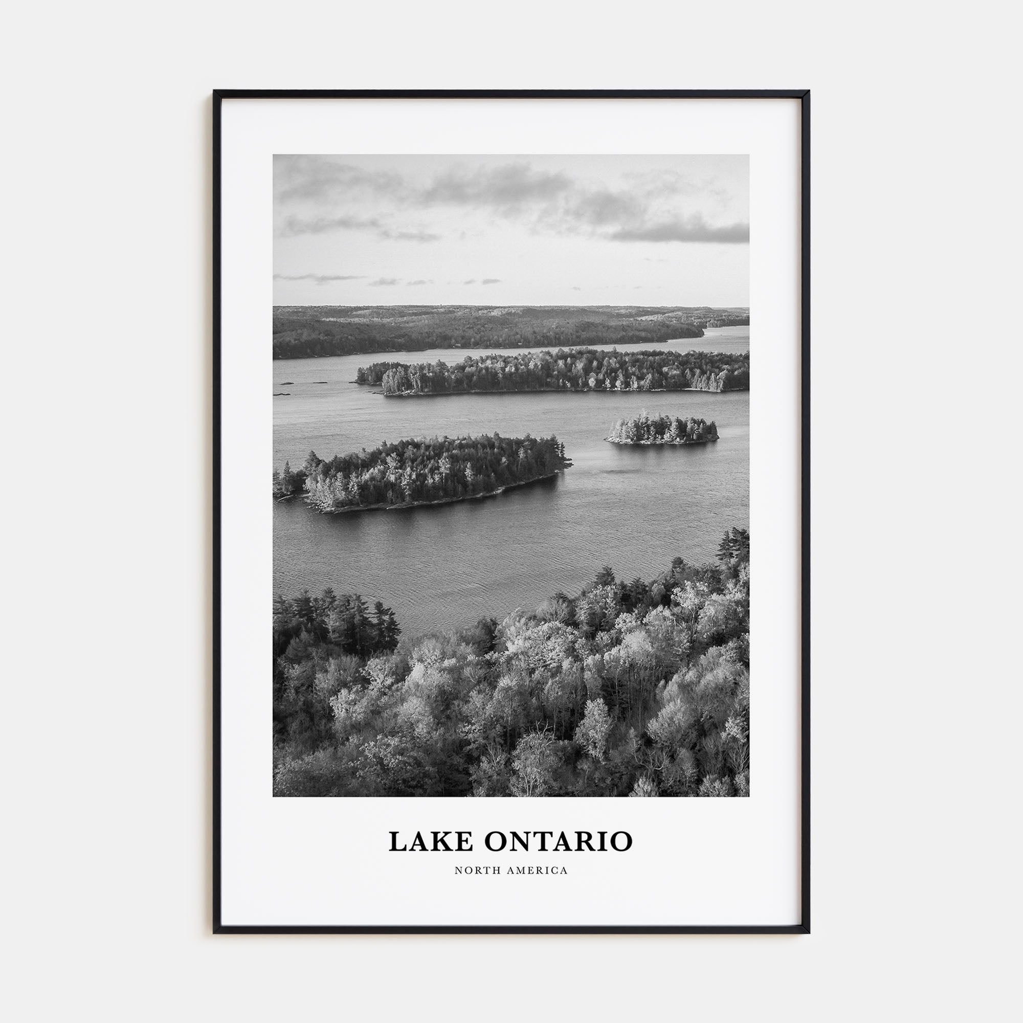 Lake Ontario Portrait B&W Poster