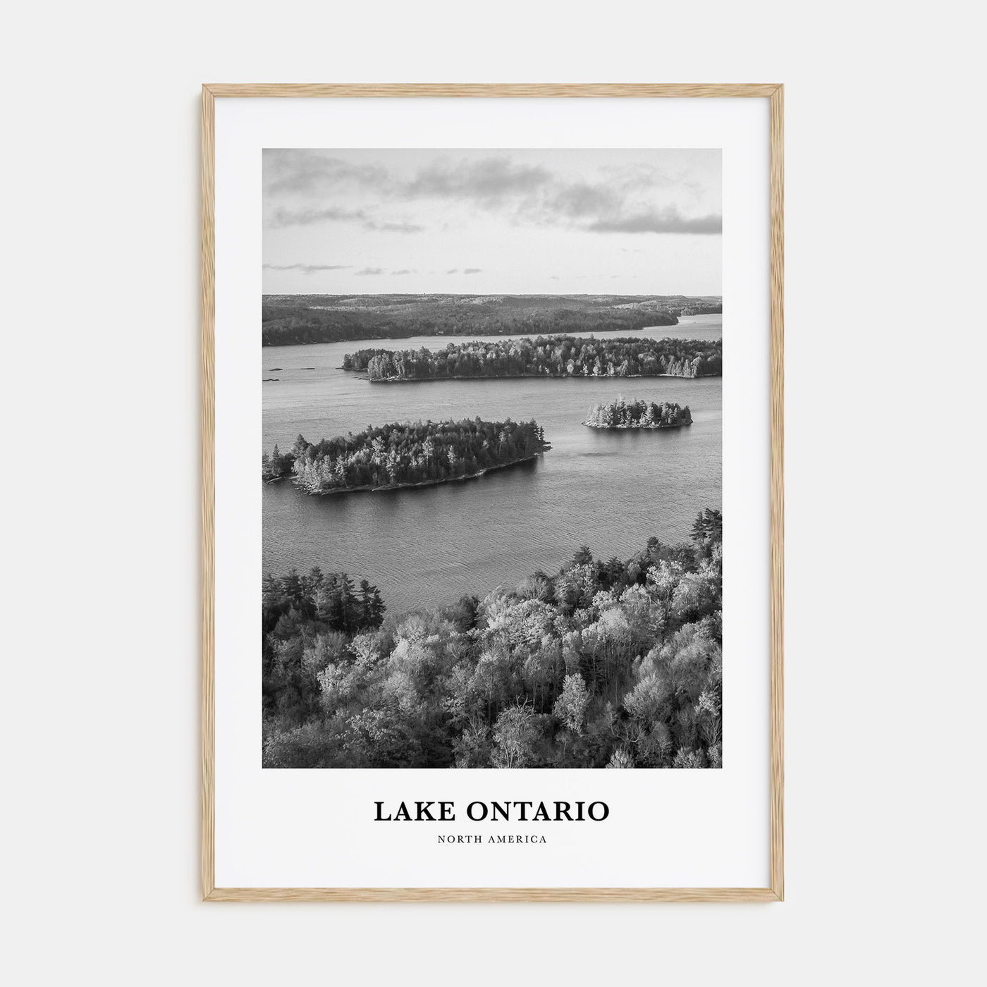 Lake Ontario Portrait B&W Poster