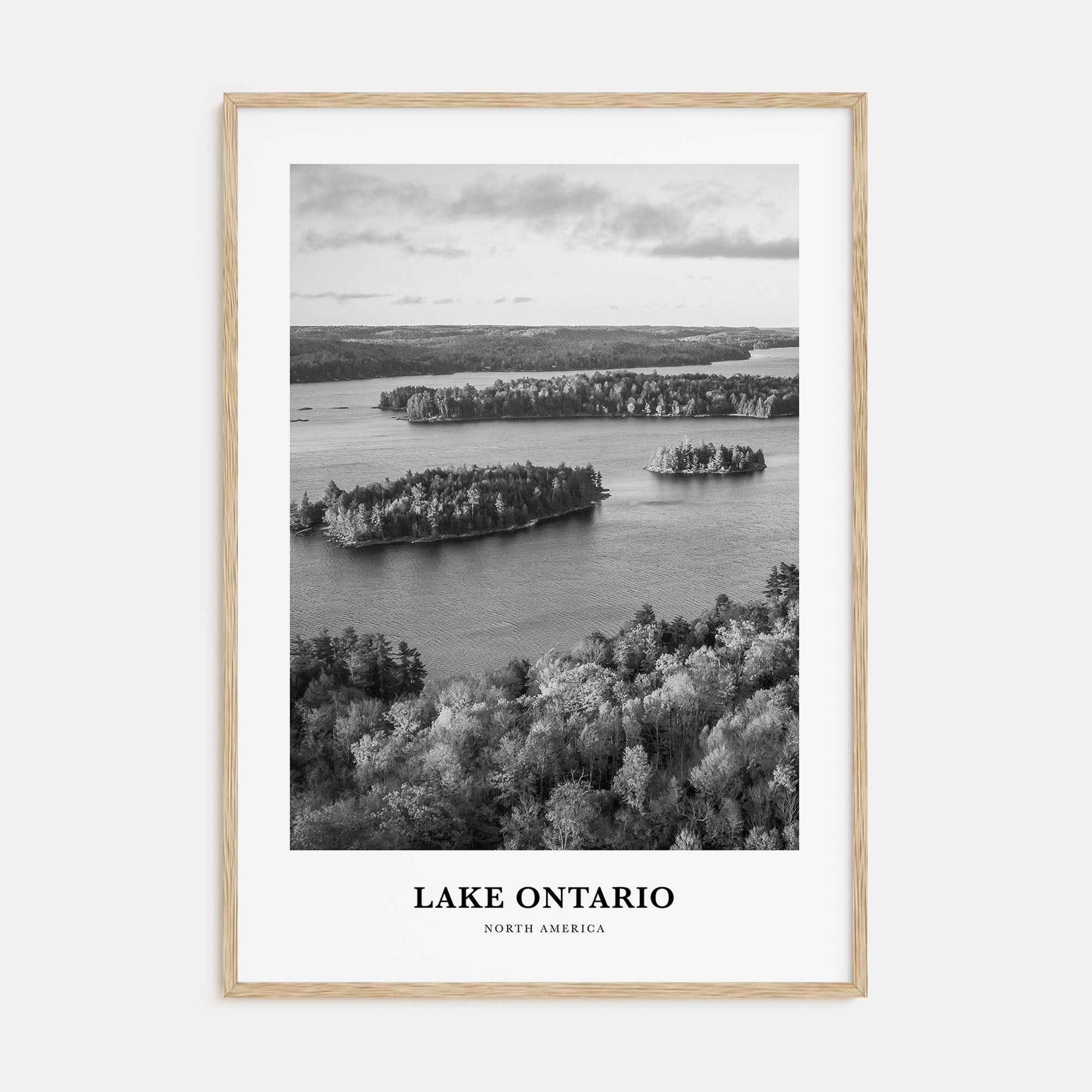 Lake Ontario Portrait B&W Poster