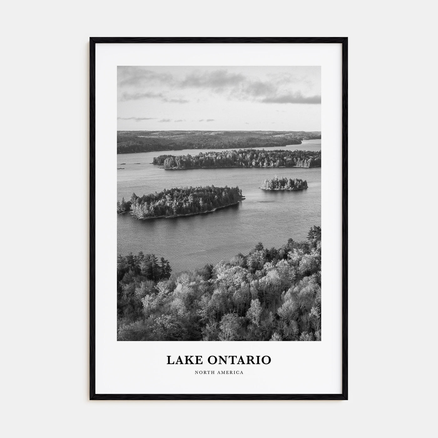 Lake Ontario Portrait B&W Poster
