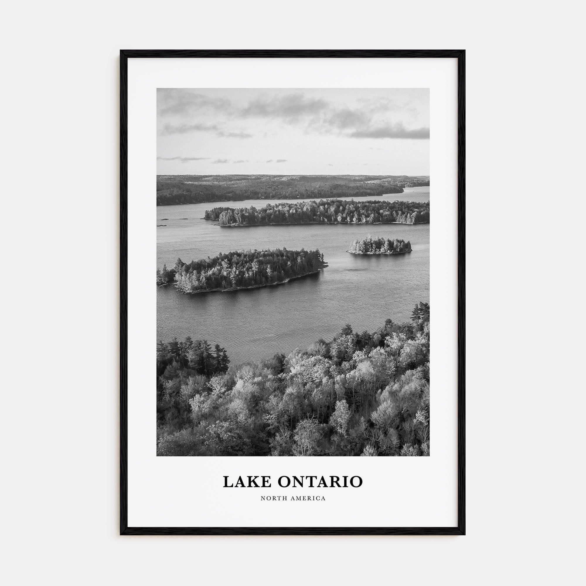 Lake Ontario Portrait B&W Poster
