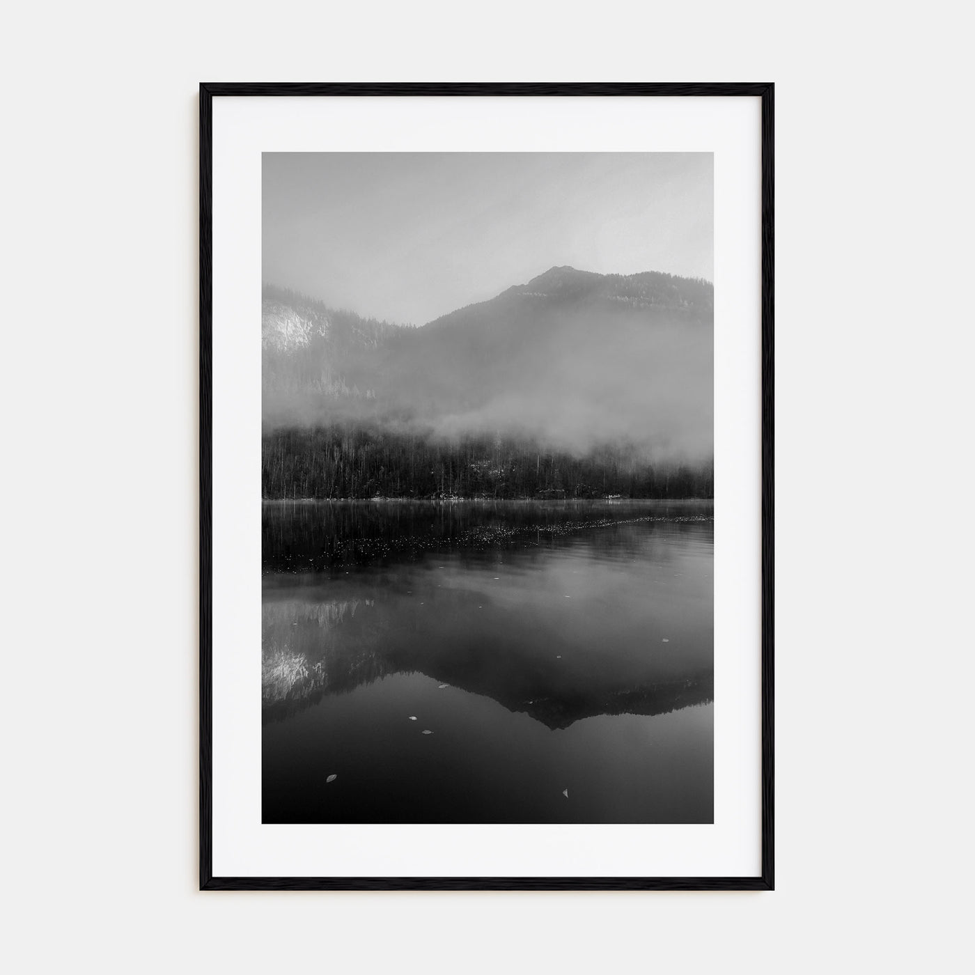 Lake Reflection Photo B&W No 2 Poster