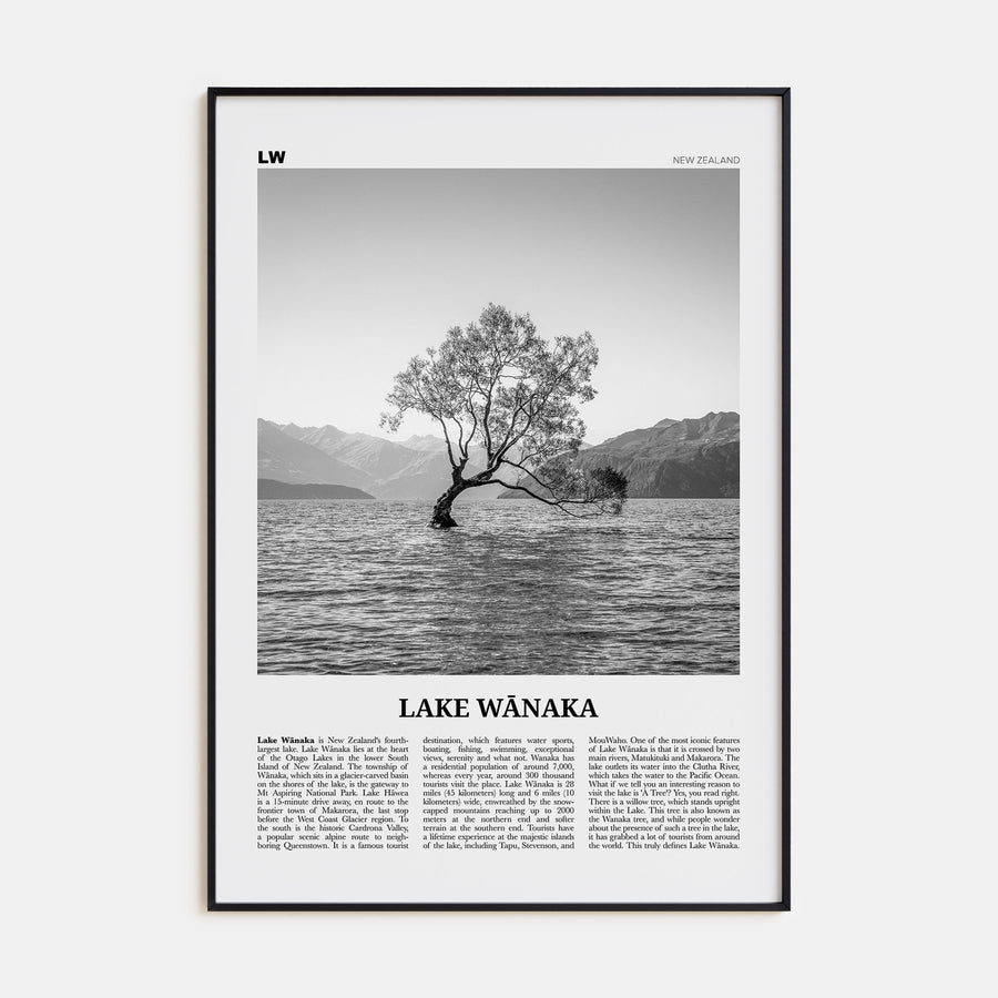 Lake Wānaka Travel B&W Poster