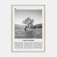Lake Wānaka Travel B&W Poster