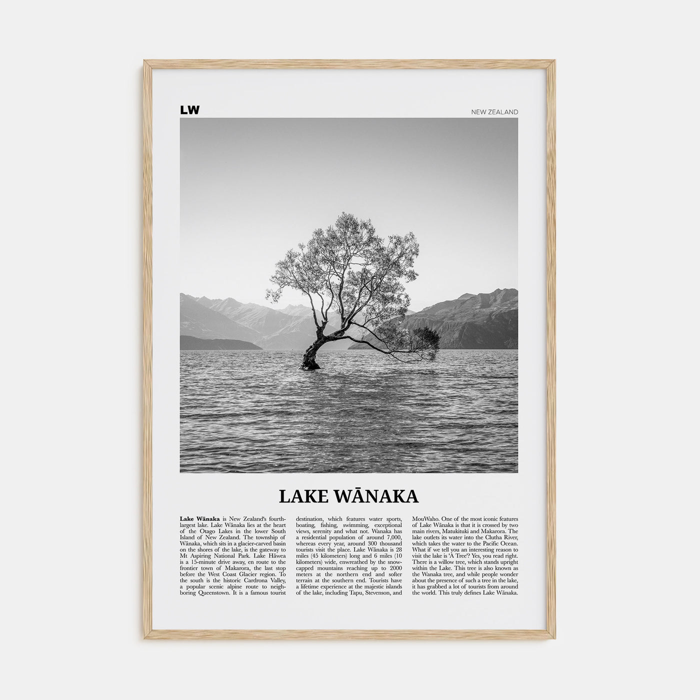 Lake Wānaka Travel B&W Poster