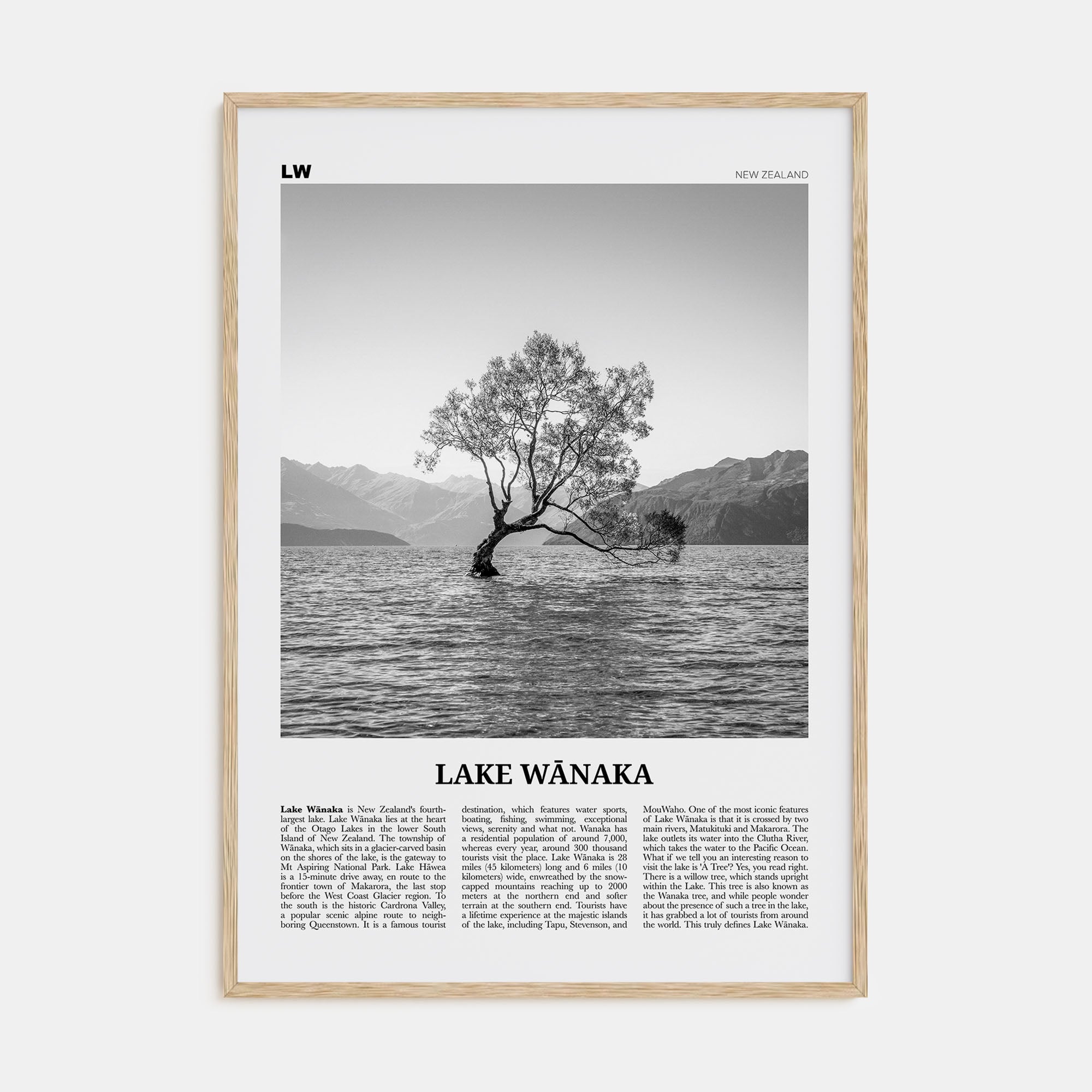 Lake Wānaka Travel B&W Poster