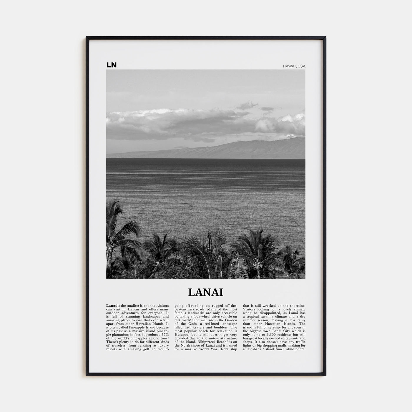 Lanai Travel B&W Poster