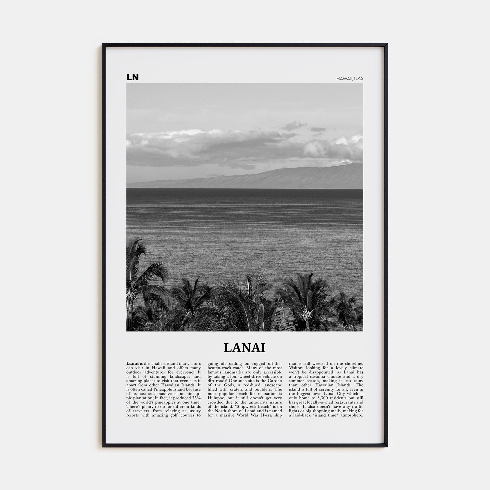 Lanai Travel B&W Poster