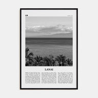 Lanai Travel B&W Poster
