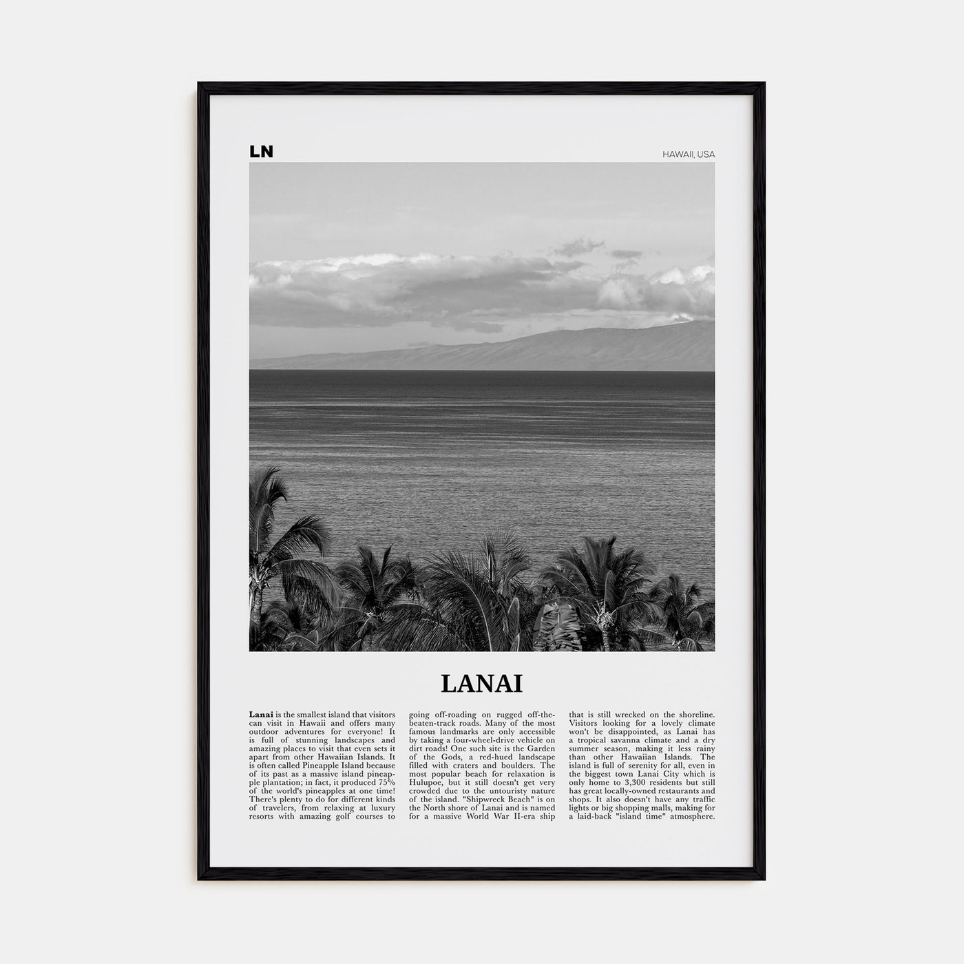 Lanai Travel B&W Poster