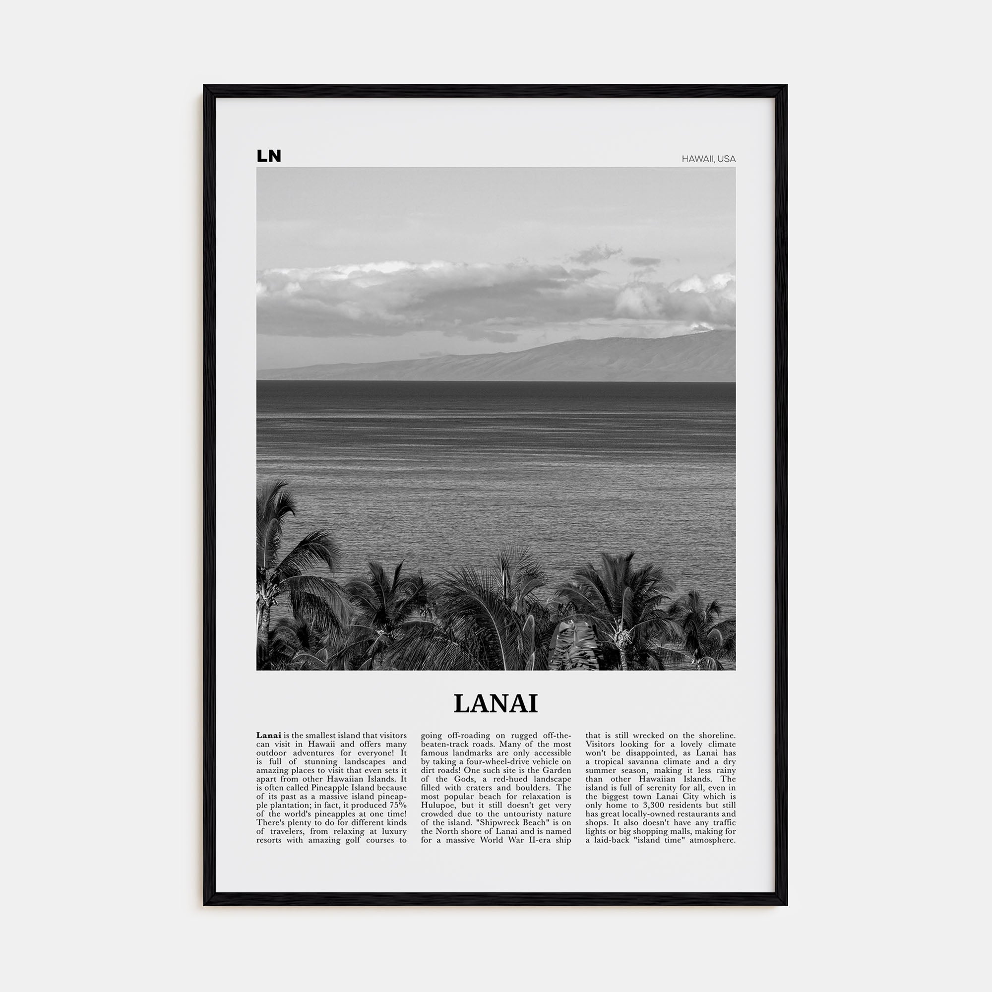 Lanai Travel B&W Poster