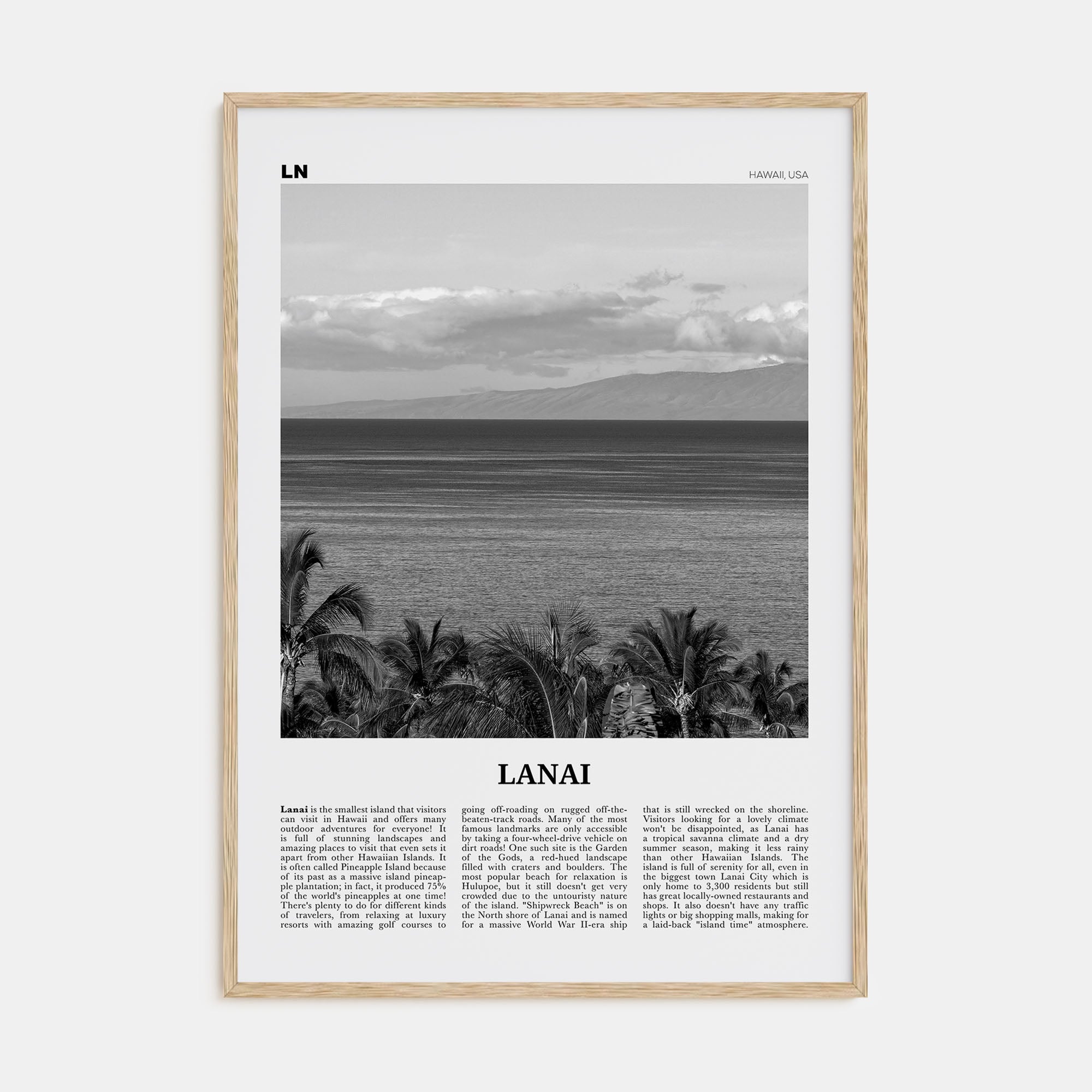 Lanai Travel B&W Poster