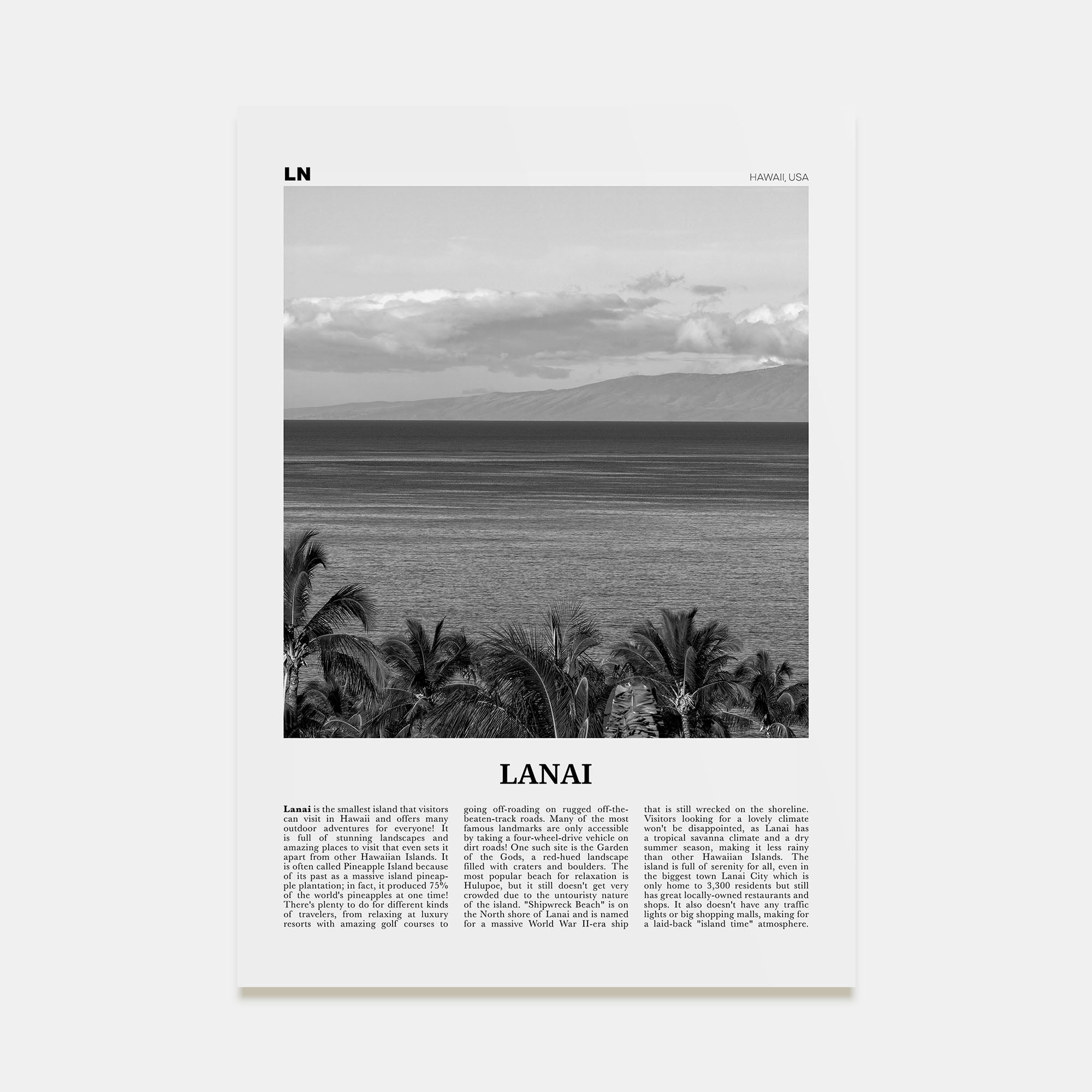 Lanai Travel B&W Poster