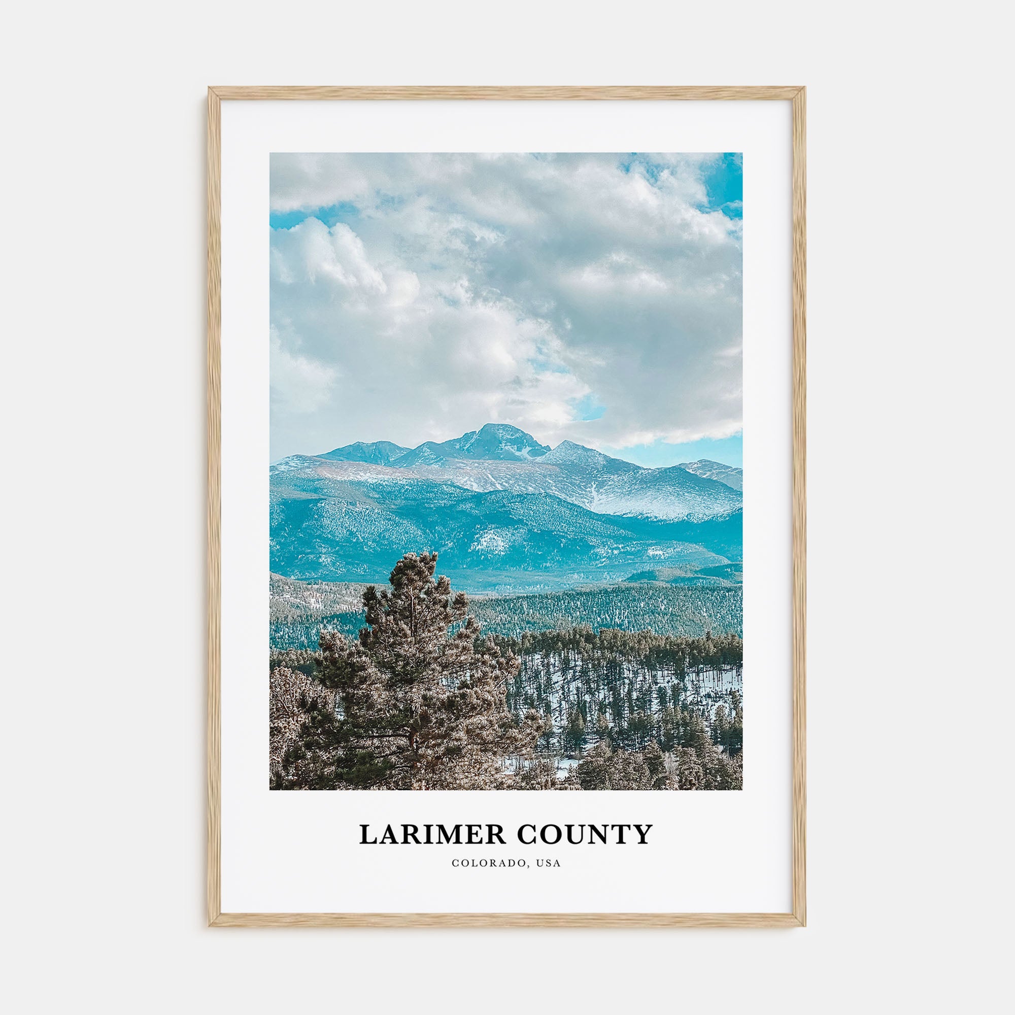 Larimer County Portrait Color Poster