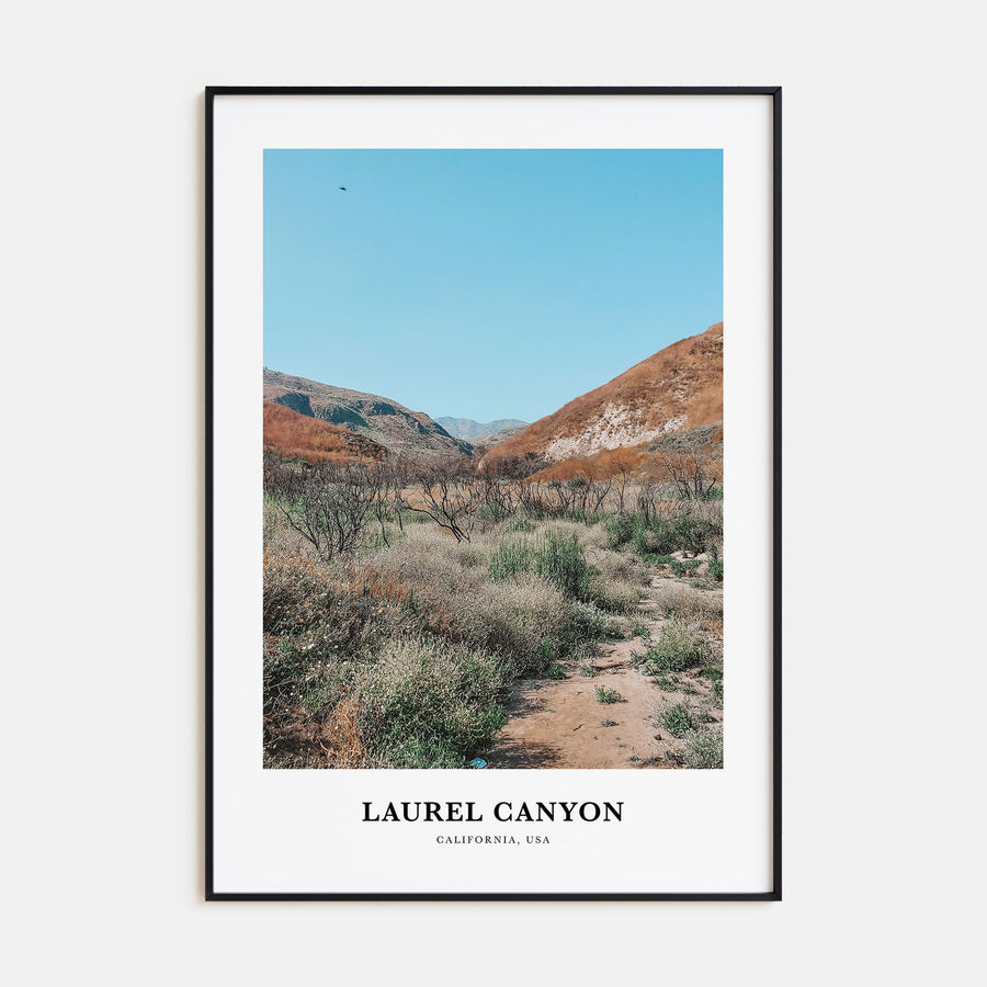 Laurel Canyon Portrait Color Poster