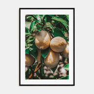 Lemon Tree Photo Color Poster