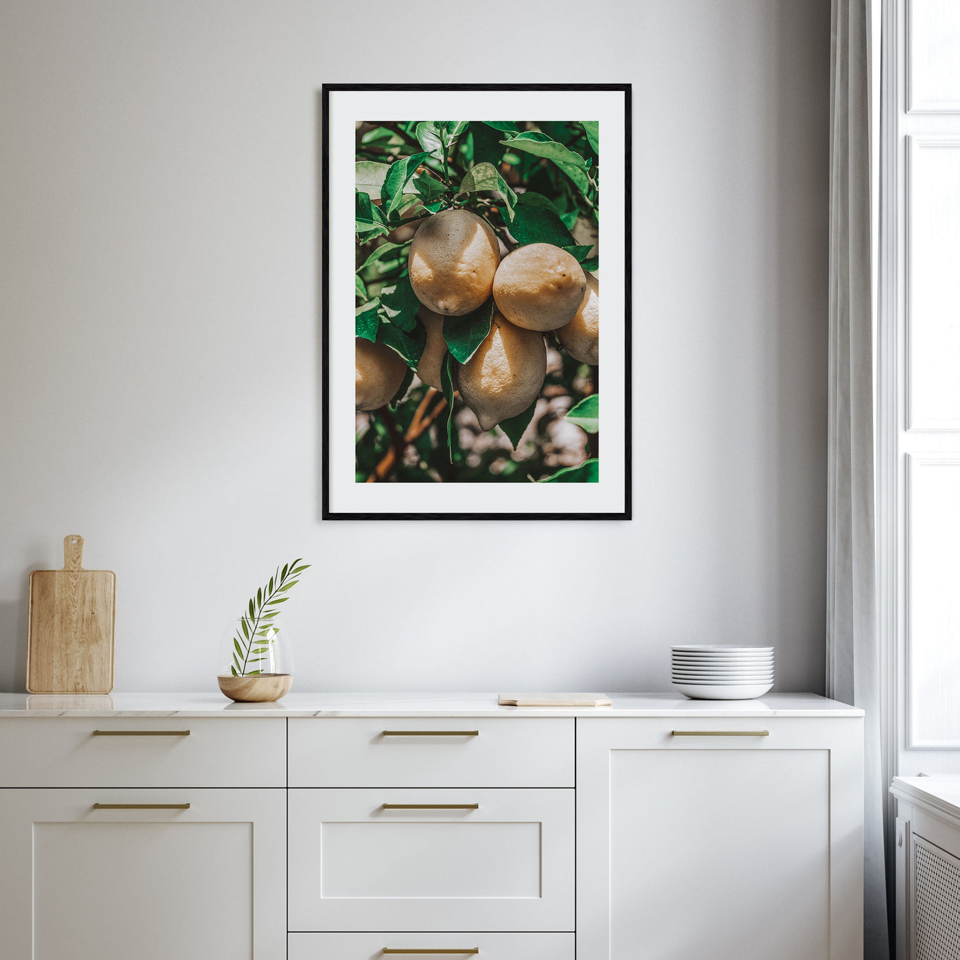 Lemon Tree Photo Color Poster