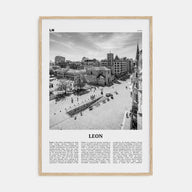 Leon, Spain Travel B&W Poster