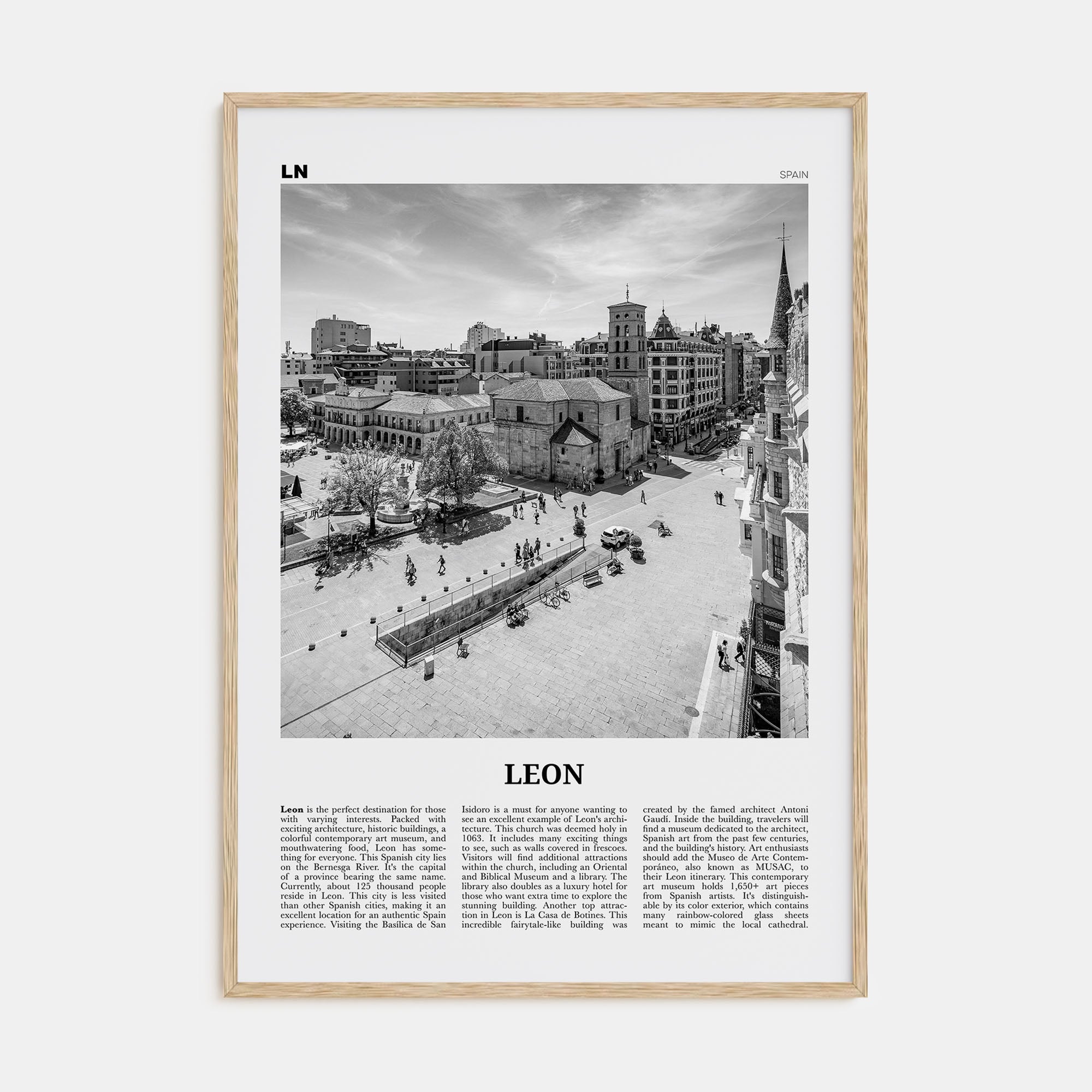 Leon, Spain Travel B&W Poster