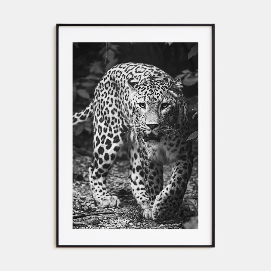 Leopard Photo B&W No 1 Poster