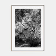 Leopard Photo B&W No 2 Poster