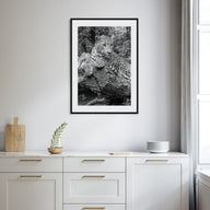 Leopard Photo B&W No 2 Poster