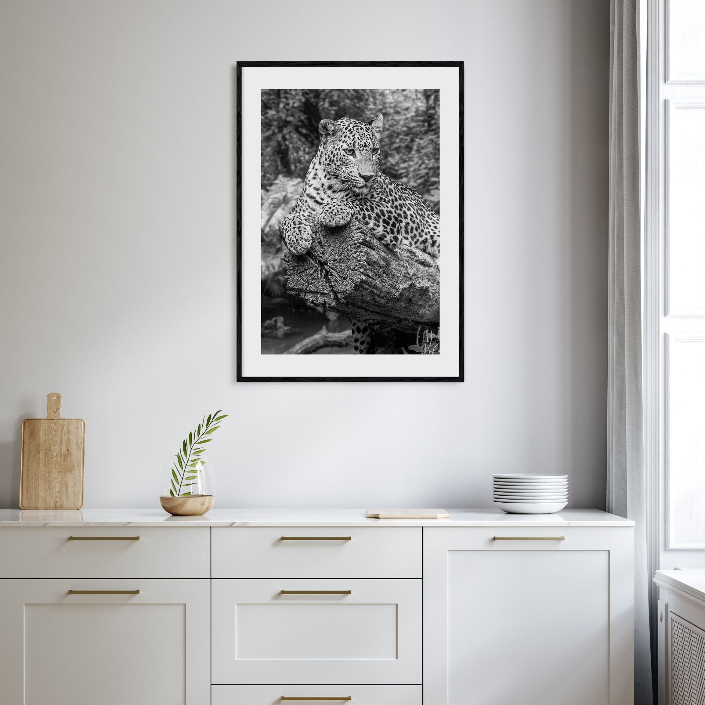 Leopard Photo B&W No 2 Poster