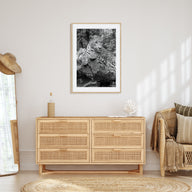 Leopard Photo B&W No 2 Poster