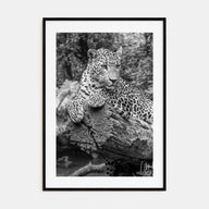 Leopard Photo B&W No 2 Poster