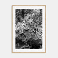Leopard Photo B&W No 2 Poster