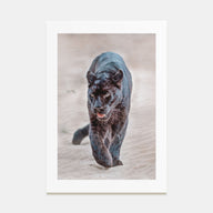 Leopard Photo Color No 1 Poster