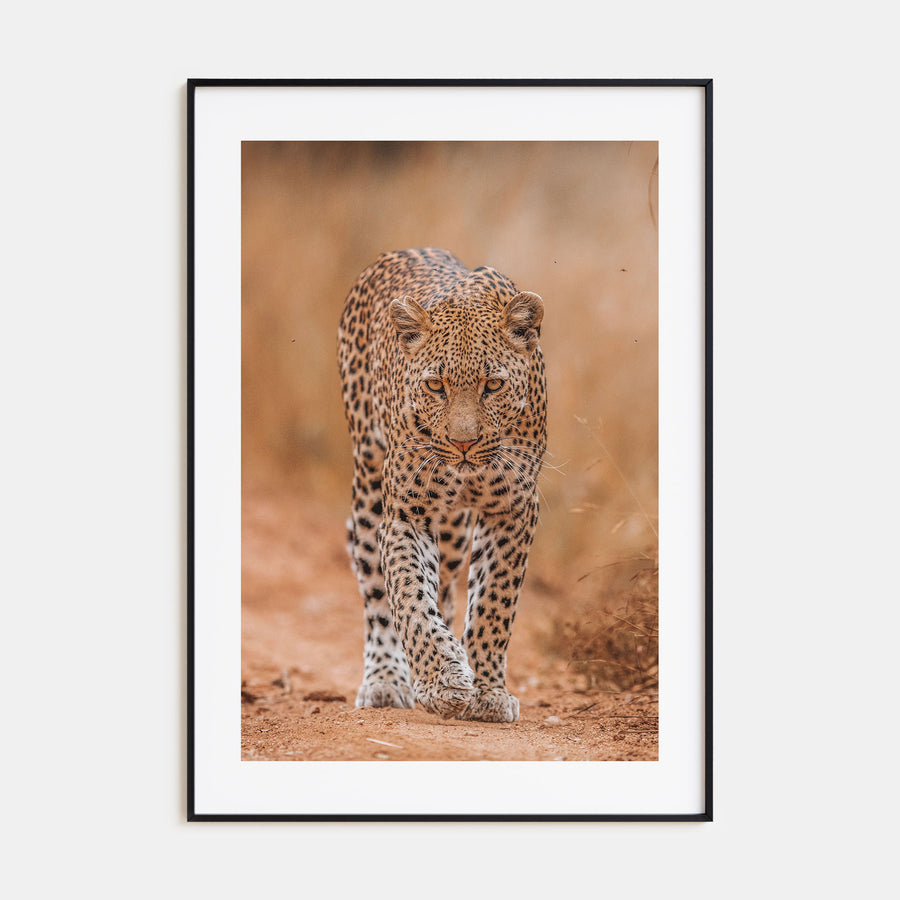 Leopard Photo Color No 2 Poster