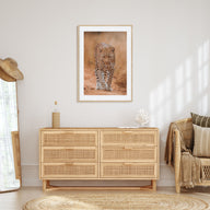 Leopard Photo Color No 2 Poster