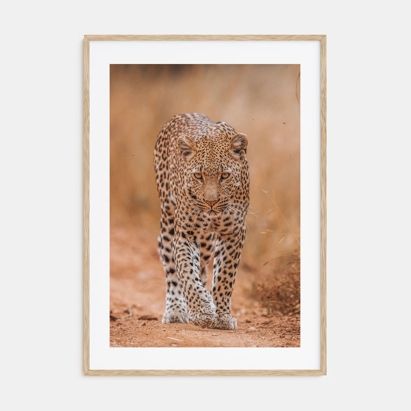 Leopard Photo Color No 2 Poster