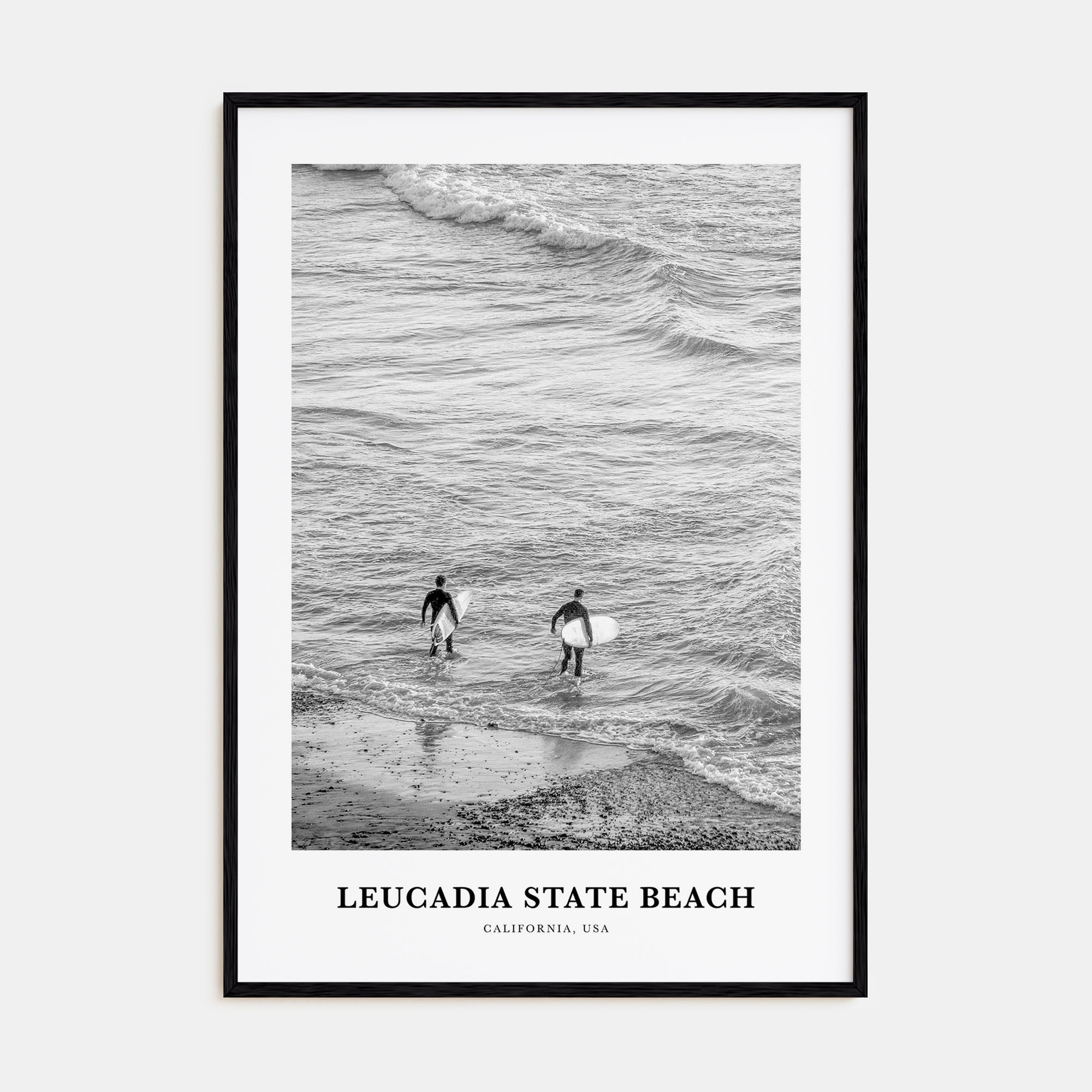 Leucadia State Beach Portrait B&W Poster