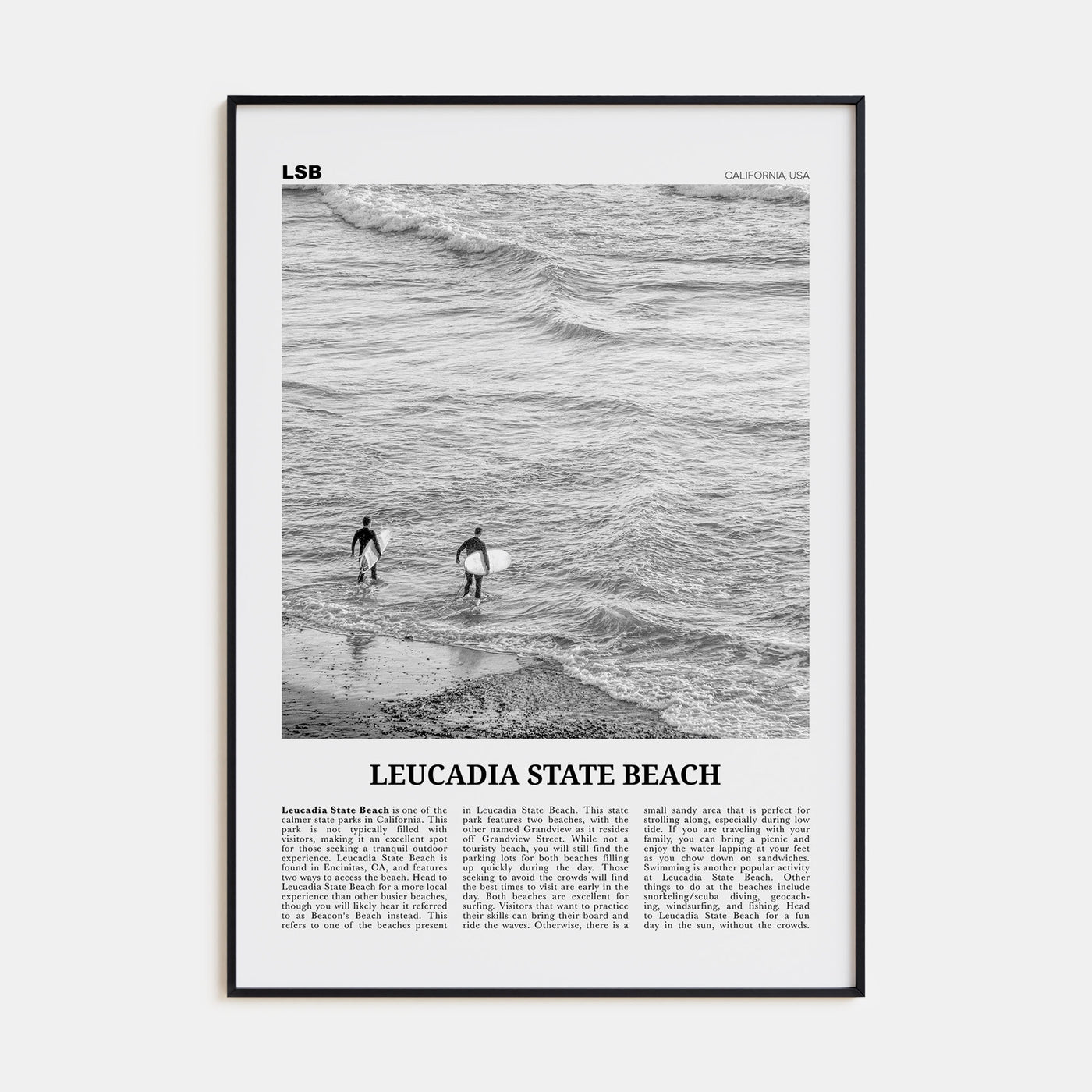 Leucadia State Beach Travel B&W Poster