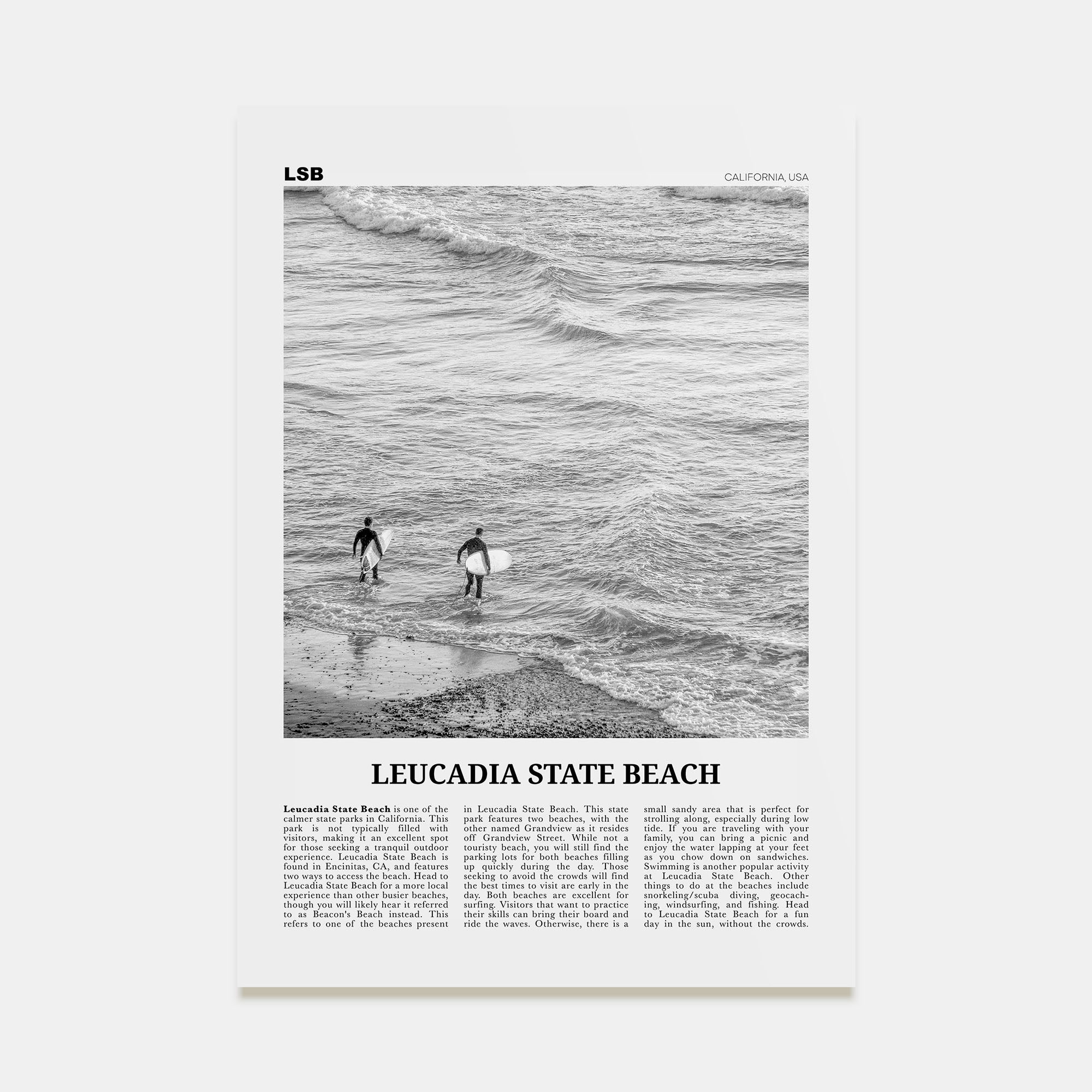 Leucadia State Beach Travel B&W Poster
