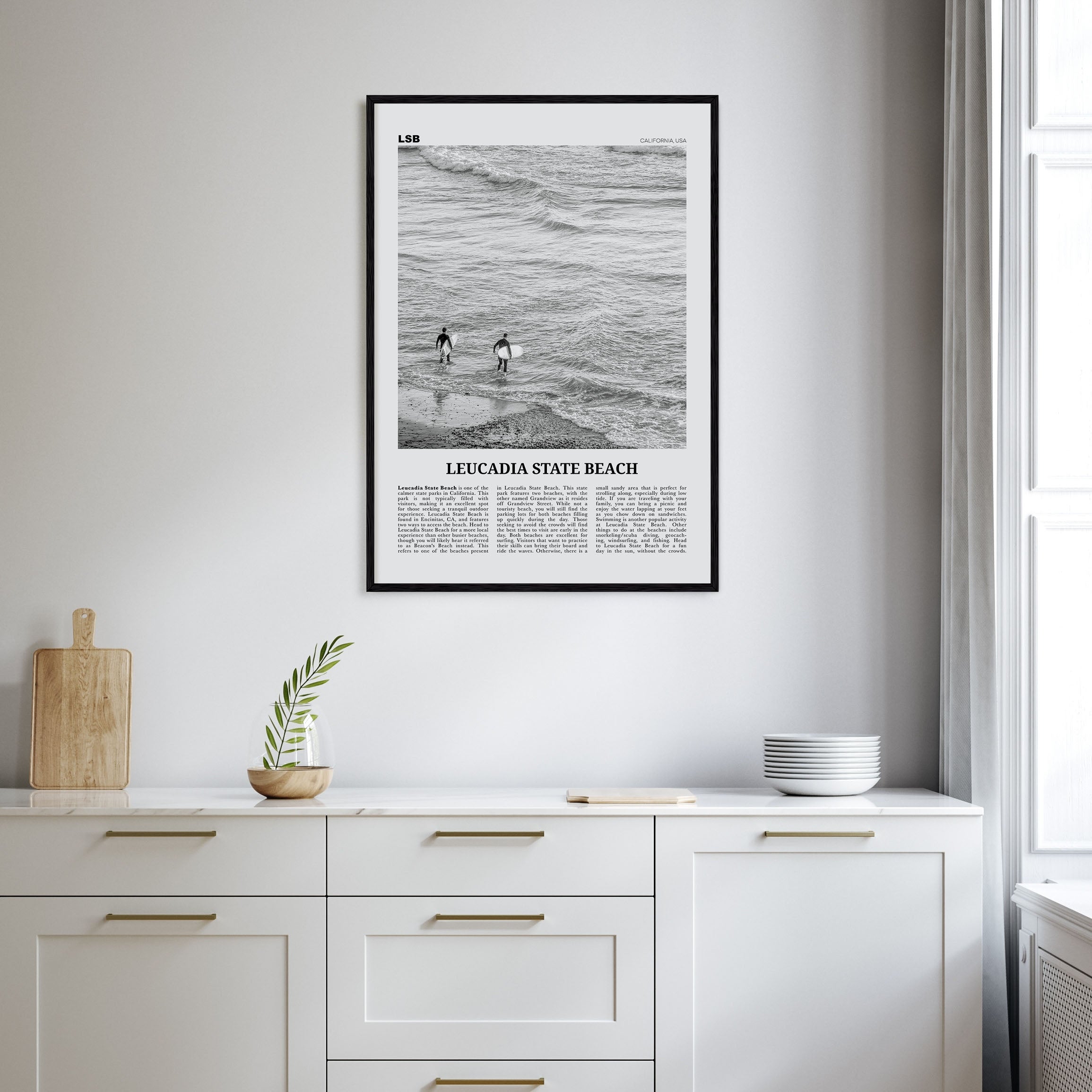 Leucadia State Beach Travel B&W Poster