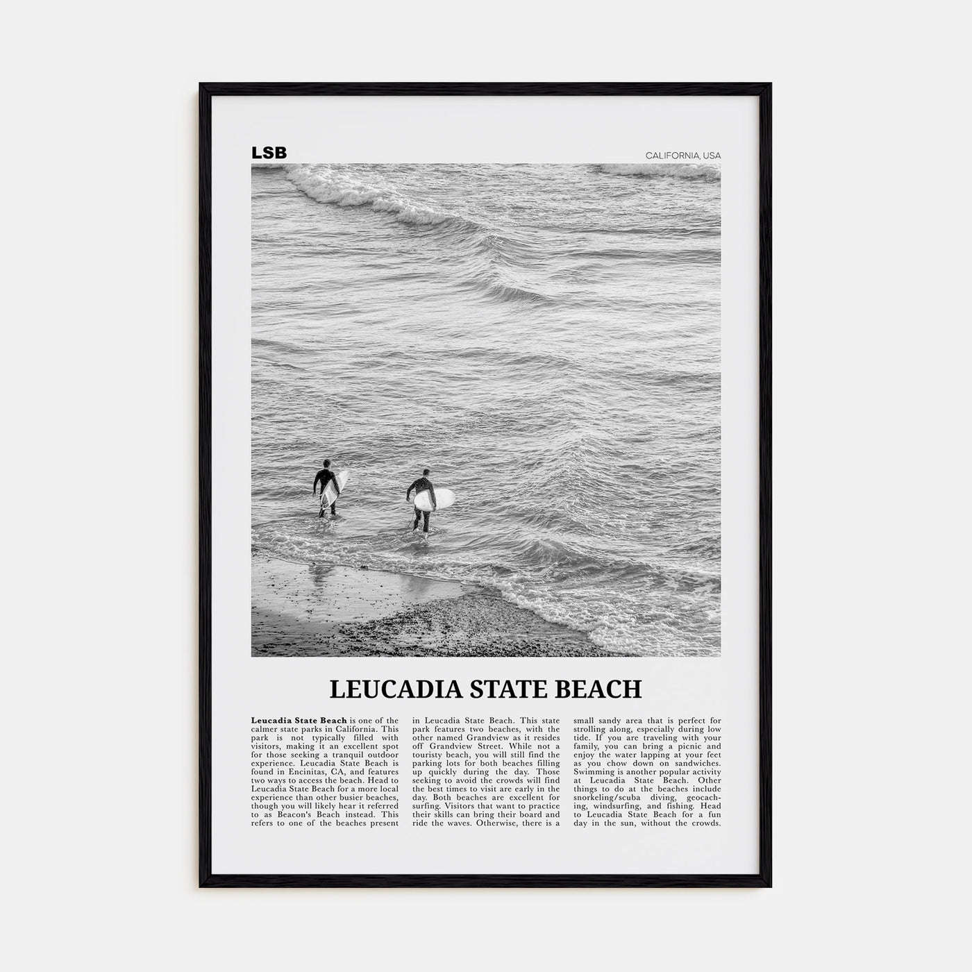 Leucadia State Beach Travel B&W Poster