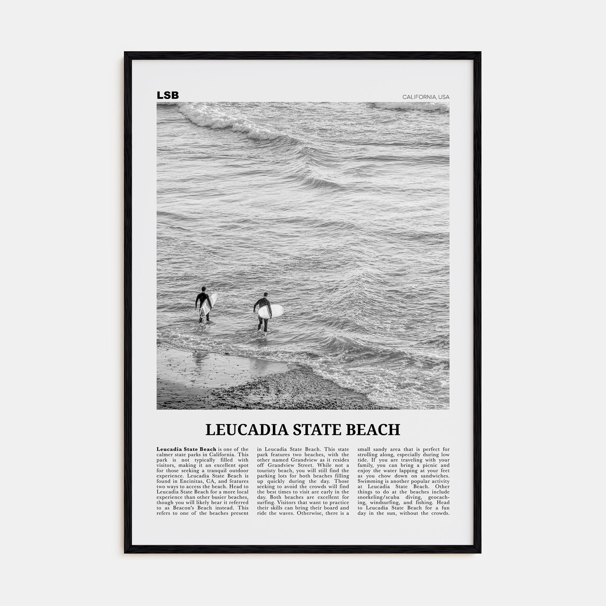 Leucadia State Beach Travel B&W Poster