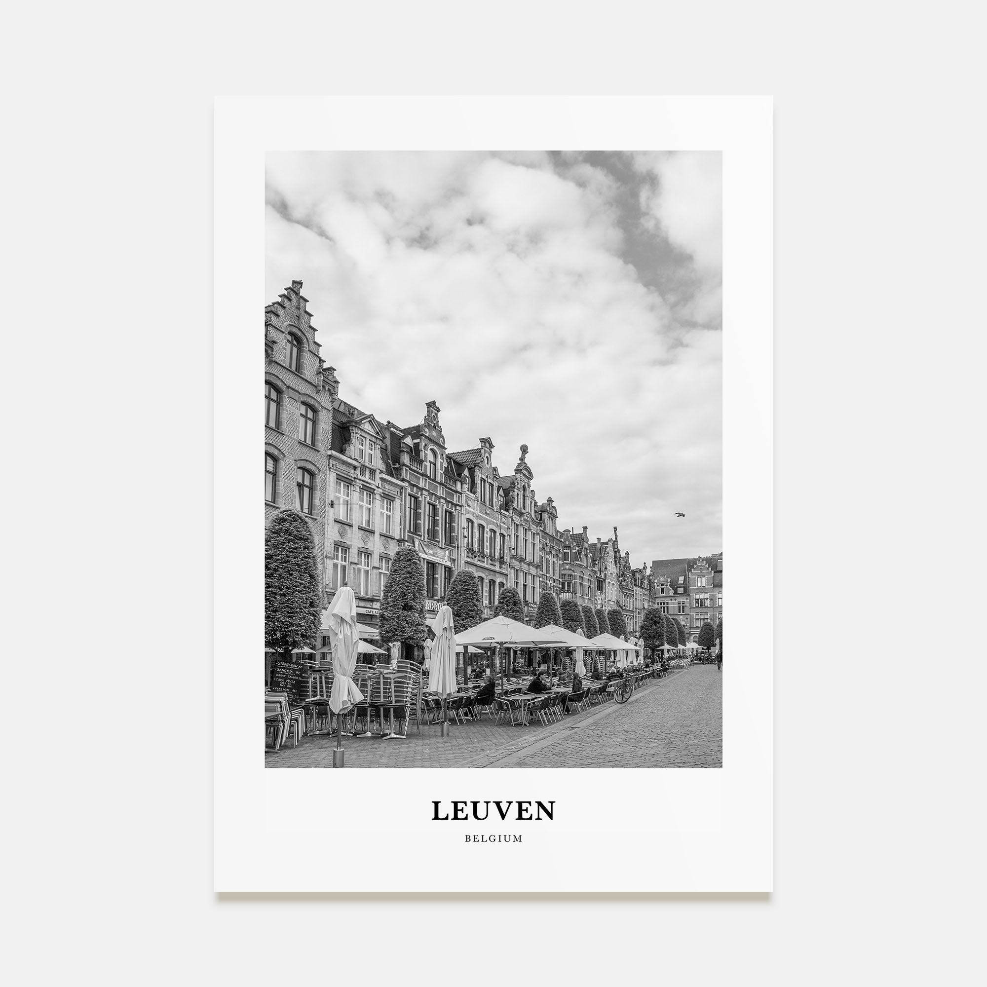 Leuven Portrait B&W No 1 Poster
