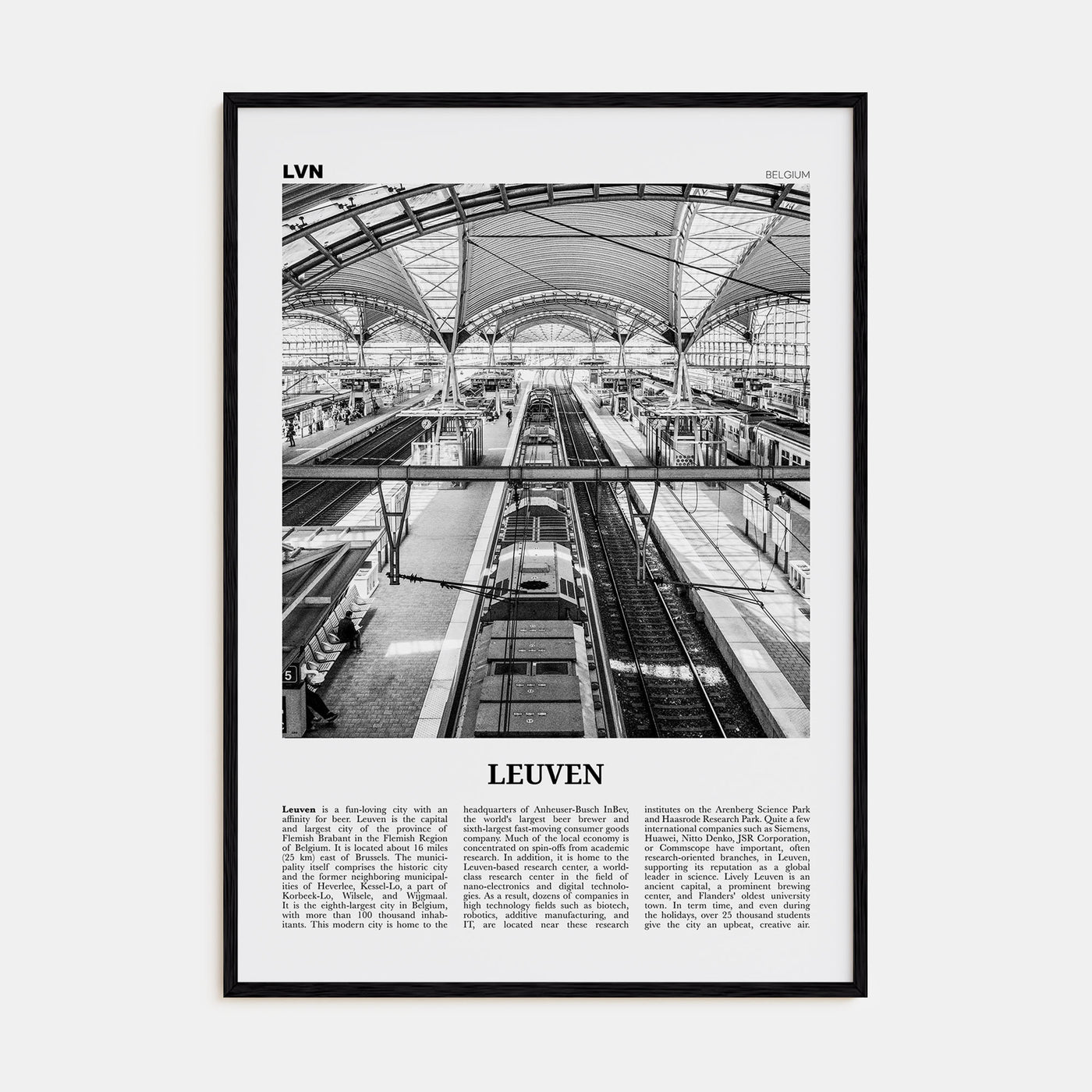 Leuven Travel B&W No 2 Poster